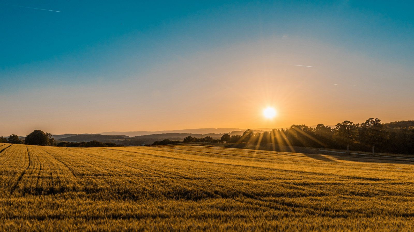 Campo al tramonto, immagine indicativa di un terreno